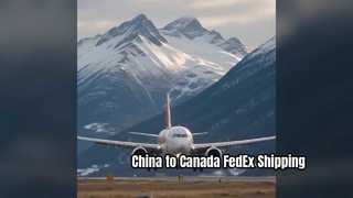The Cheapest DHL Shipping To Norway